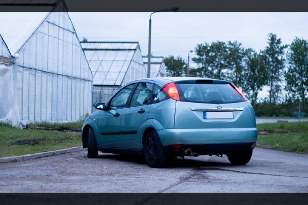 zaun-ford-focus