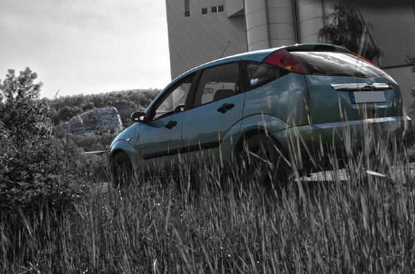 ford-focus-gras