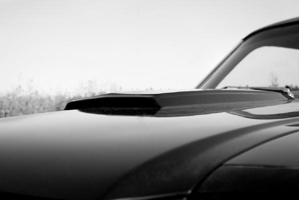motorhaube-ford-mustang
