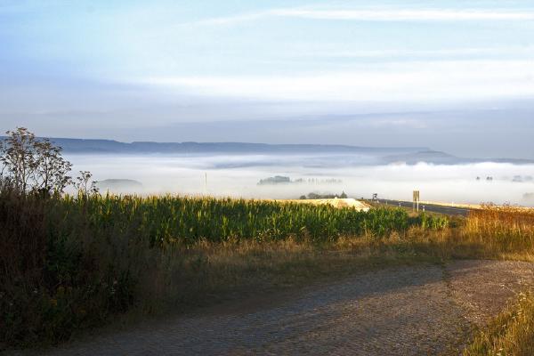 nebel