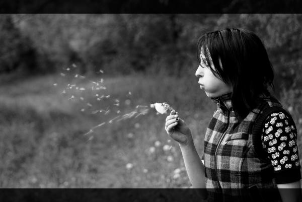 pusteblume