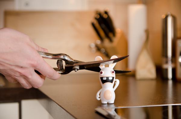 rayman-rabbid-schere