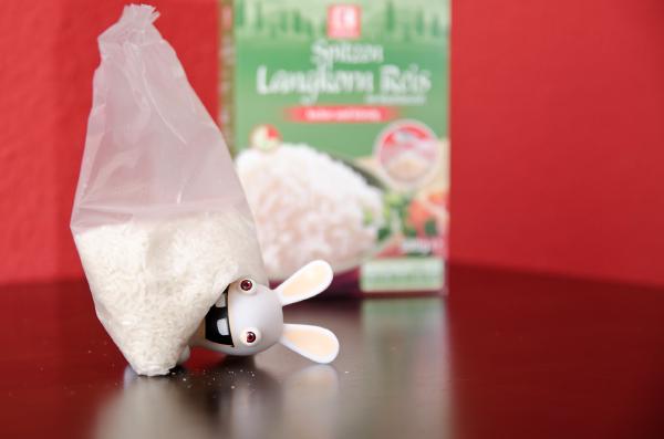 rayman-rabbid-reis