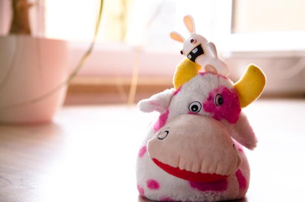rayman-rabbid-kuh