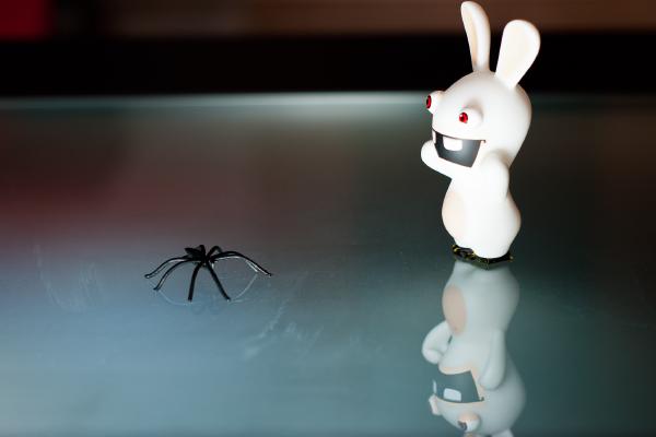 rayman-rabbid-spinne