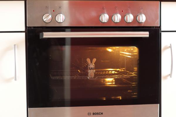 rayman-rabbid-backofen