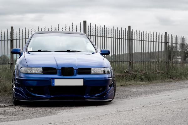 seat-leon-zaun