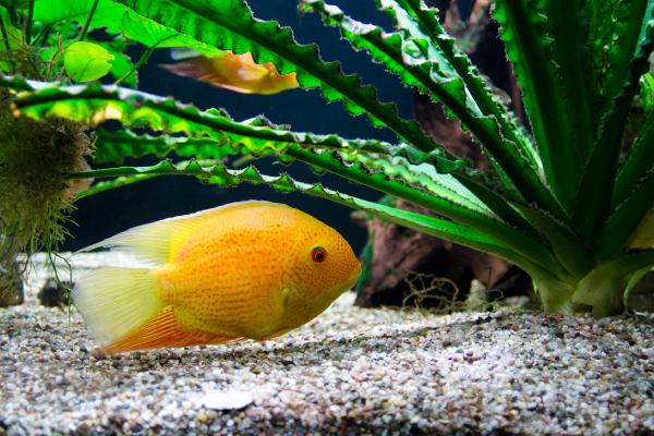 Meeresaquarium Zella Mehlis
