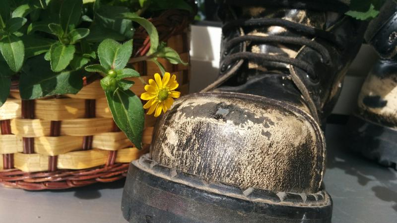 springerstiefel-blumen-1