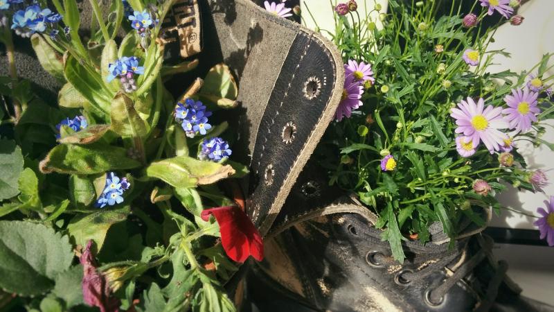 springerstiefel-blumen