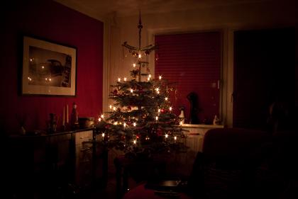 Weihnachtsbaum